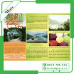 Tờ rơi du lịch các di tích lịch sử đền, chùa 1