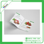 Đặc điểm của Brochure trái cây