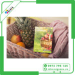 mẫu Brochure trái cây 6