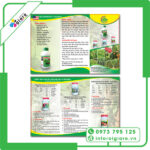 mẫu tờ rơi thuốc 4