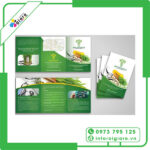 Mẫu tờ rơi quảng cáo thực phẩm sạch 9
