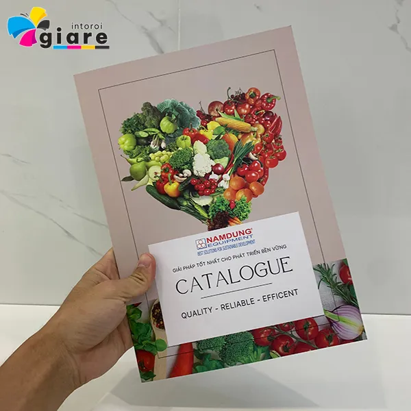 Mẫu Catalogue trái cây rau củ