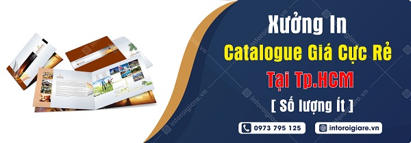 Xưởng in Catalogue giá cực rẻ tại HCM và Hà Nội