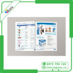 Mẫu Catalogue giới thiệu sản phẩm 1