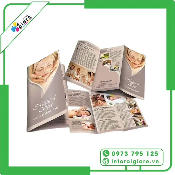 Mẫu brochure spa Natural