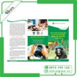 Đặc điểm của Brochure môi trường
