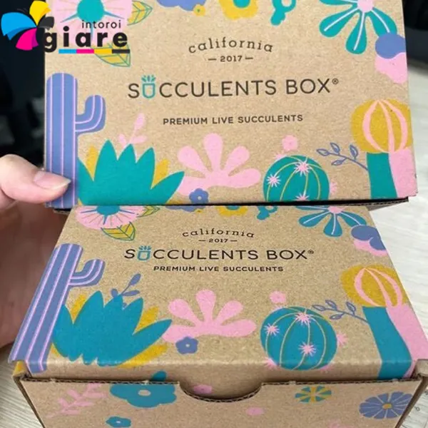 Hộp giấy SOCCULENTS BOX được in bởi kỹ thuât in offset