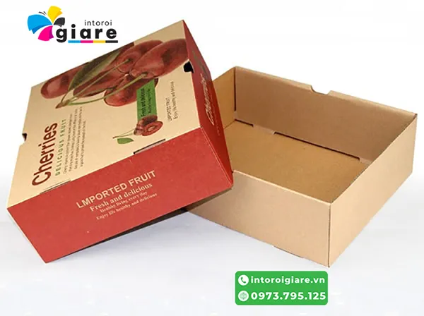 Mẫu hộp giấy carton 5