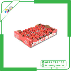 Hộp Giấy Đựng Dâu Tây