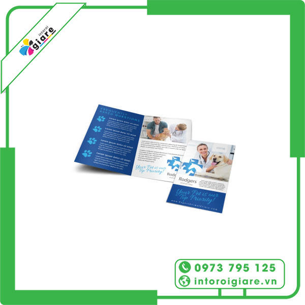 Mẫu brochure pet shop Rodgers