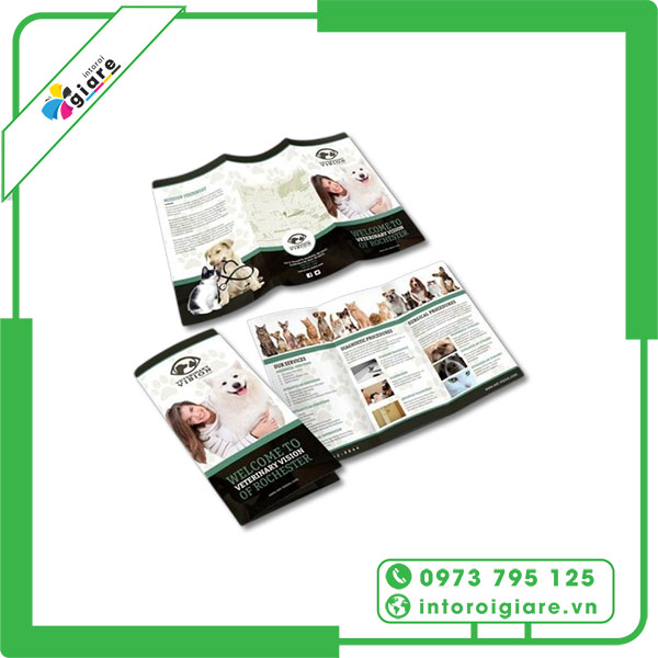 Mẫu brochure pet shop VIWTON
