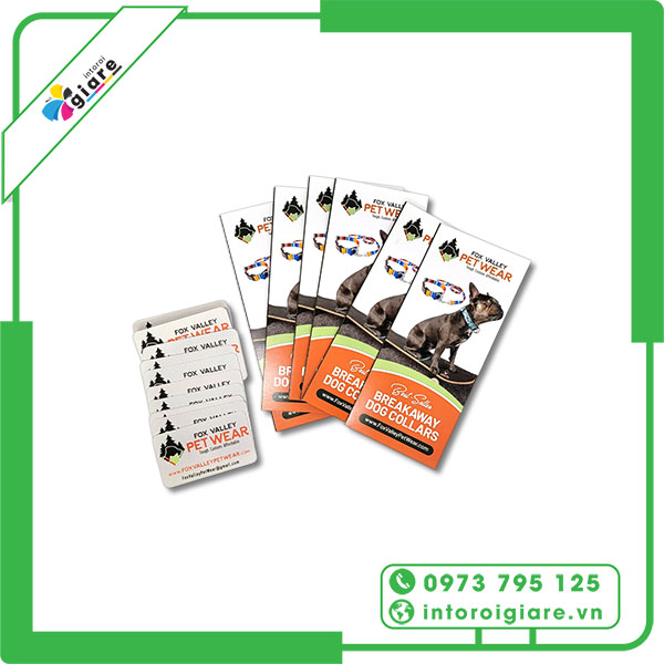 Mẫu brochure pet shop PET WEAR