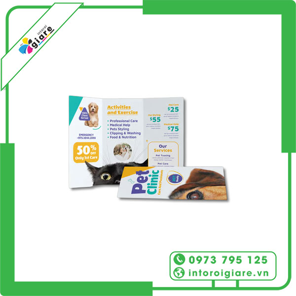 Mẫu brochure pet shop khuyến mãi