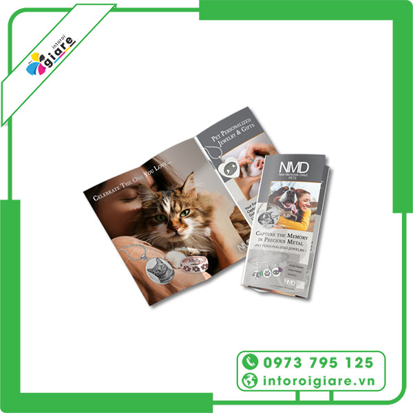 Mẫu brochure pet shop NMD