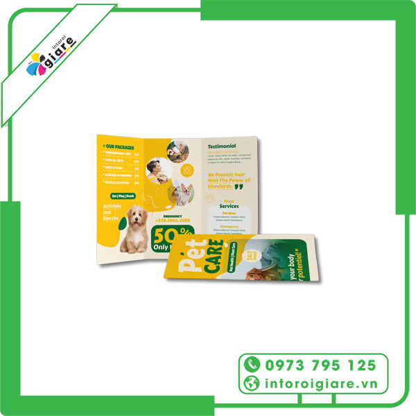 Mẫu brochure pet shop giảm giá