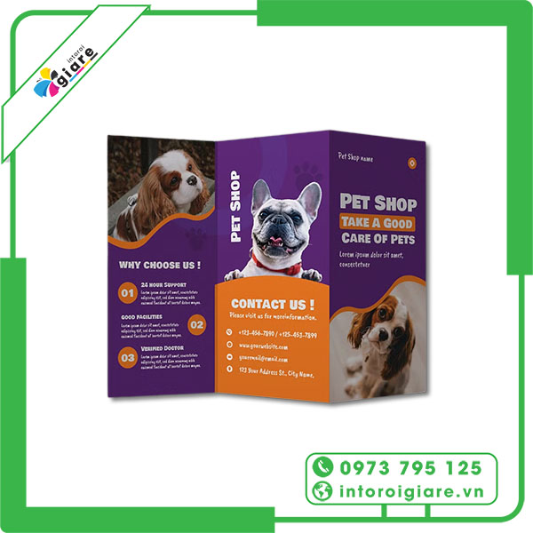 Mẫu brochure pet shop độc đáo