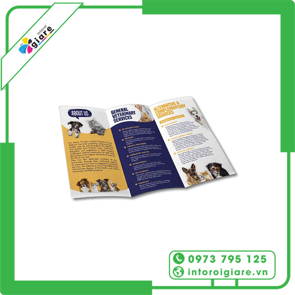 Mẫu brochure pet shop thu hút