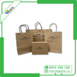 Túi Giấy Coach