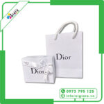 Túi Giấy Dior