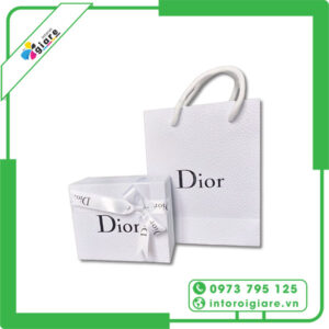 Túi Giấy Dior