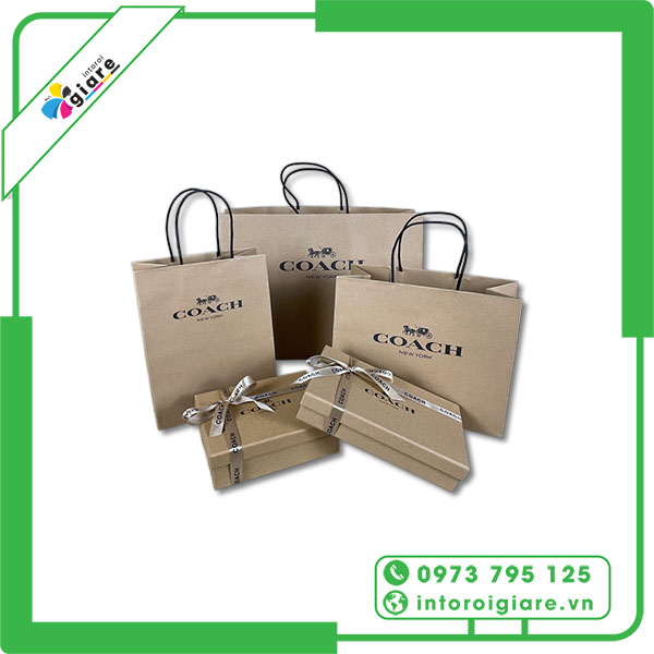 Mẫu túi giấy Coach giấy Kraft