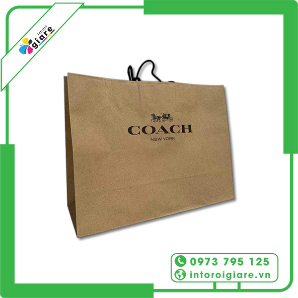 Mẫu túi giấy Coach cao cấp
