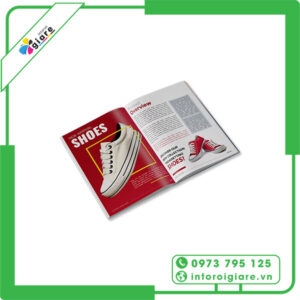 Catalogue Giày