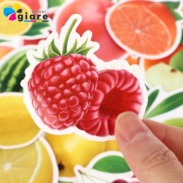 Mẫu sticker quả mâm xôi (phúc bồn tử)