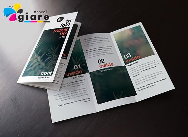 Mẫu brochure đẹp in bằng c&ocirc;ng nghệ in offset